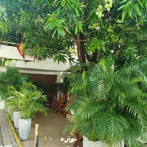 Casa Corozo Boutique Pensión Cartagena
